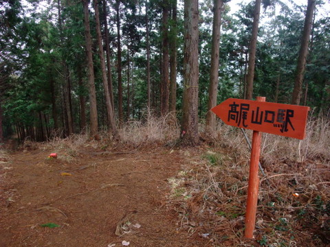 a0043982_1645529.jpg