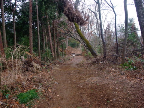 a0043982_16483889.jpg