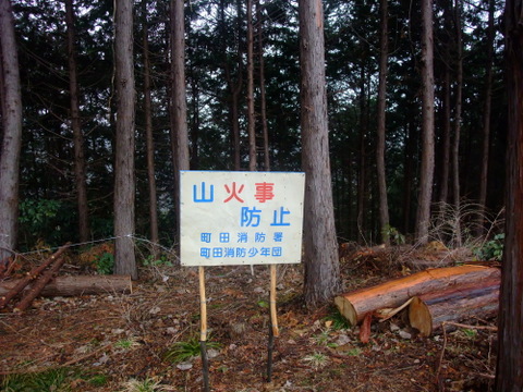 a0043982_1648966.jpg