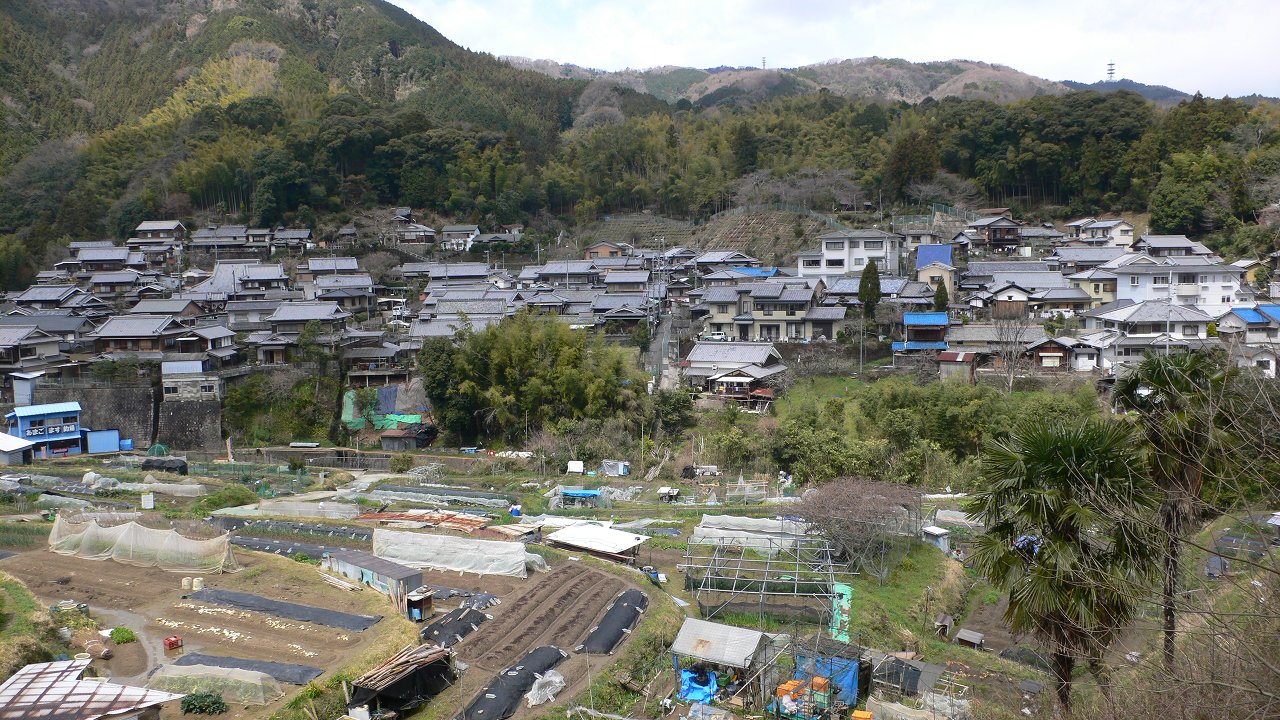 b0042882_1532038.jpg