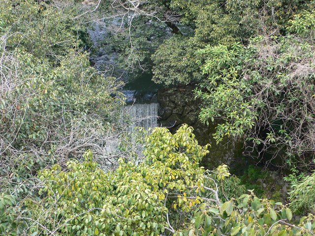 b0042882_15374564.jpg