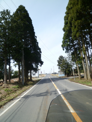 d0179983_1926820.jpg