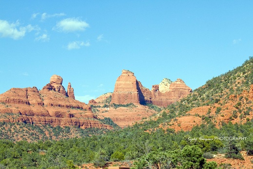e0148185_1157435.jpg
