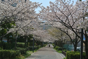 b0128589_1319765.jpg