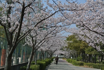b0128589_13225088.jpg