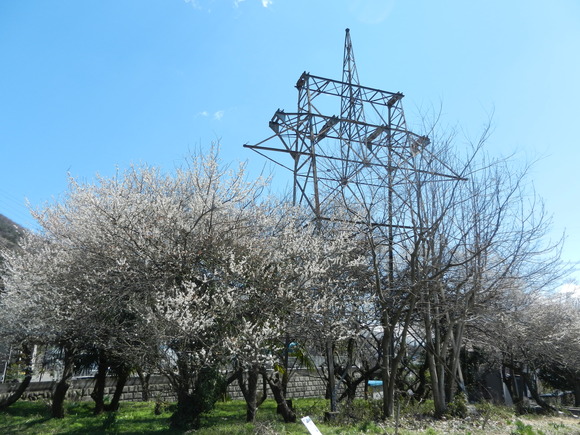 d0224990_215427.jpg