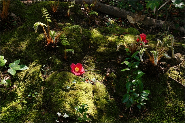 b0145398_0344259.jpg