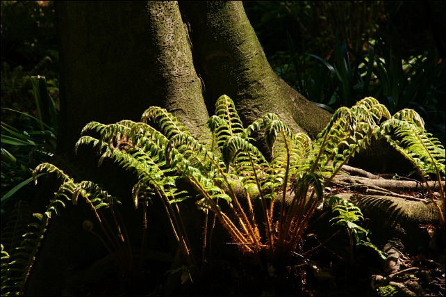 b0145398_0345594.jpg