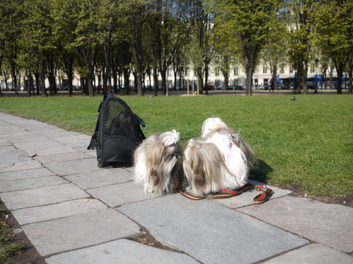 c0090198_292679.jpg