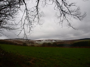 b0110999_21583047.jpg