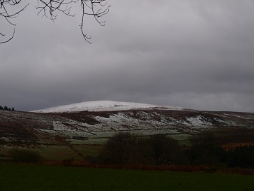 b0110999_21583973.jpg