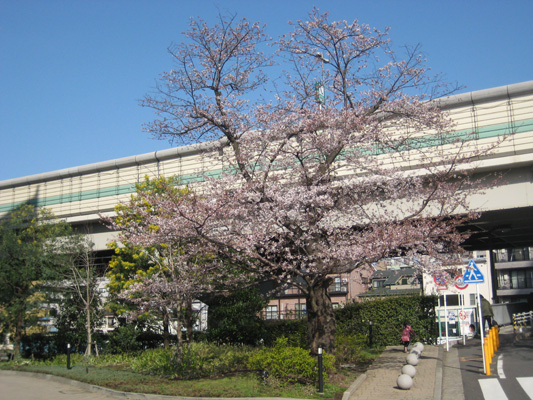 b0097200_2345230.jpg