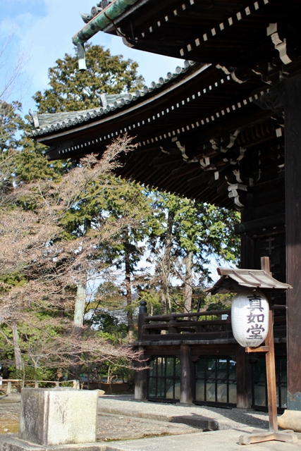 c0228404_465151.jpg