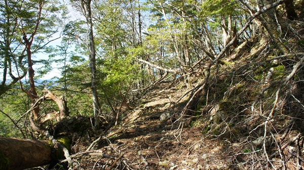b0244811_23262791.jpg