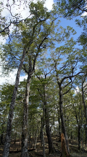 b0244811_23332585.jpg
