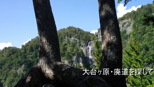 b0244811_236114.jpg