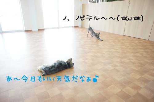 d0220513_16523977.jpg