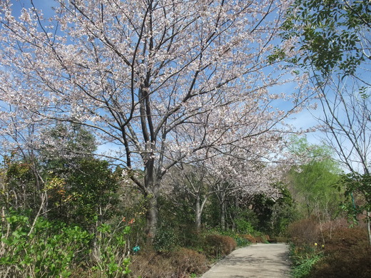 e0135518_0542196.jpg