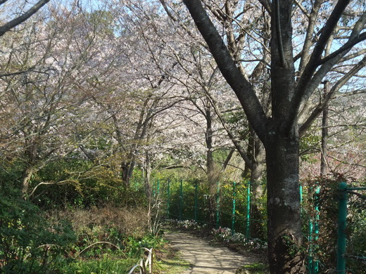 e0135518_058162.jpg
