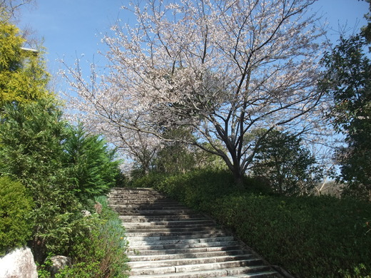 e0135518_0581767.jpg