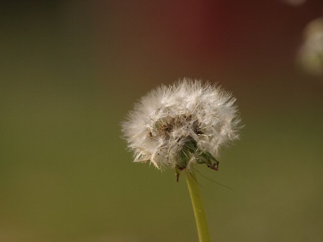 b0187620_22361498.jpg