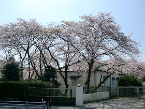 e0255020_2333630.jpg