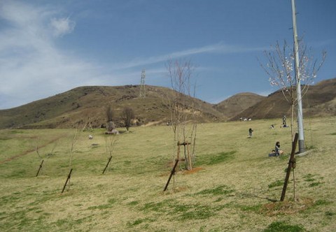 f0139520_2053223.jpg