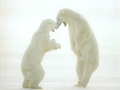 b0186321_21938100.jpg
