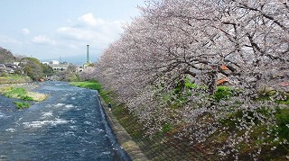 b0147522_21401274.jpg