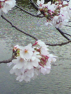 f0036223_17362537.jpg