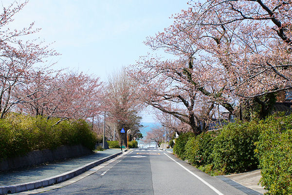 f0007926_1713768.jpg