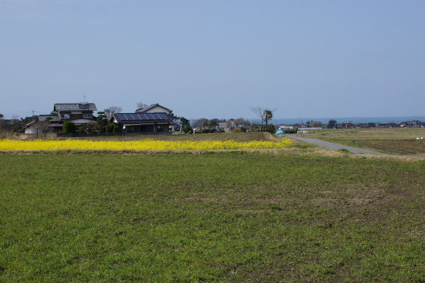 f0007926_1721430.jpg