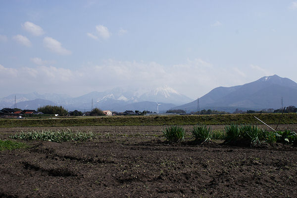 f0007926_1722422.jpg