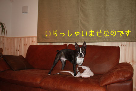 a0190132_23403535.jpg