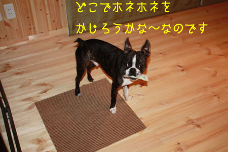 a0190132_2342890.jpg