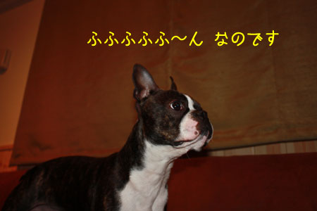 a0190132_23444390.jpg