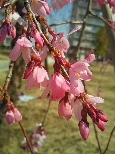 c0025033_20393313.jpg