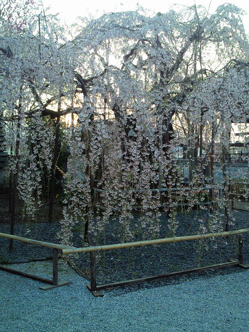 c0025033_20414848.jpg
