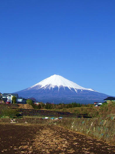b0089338_2252194.jpg