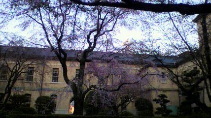 d0175151_020171.jpg