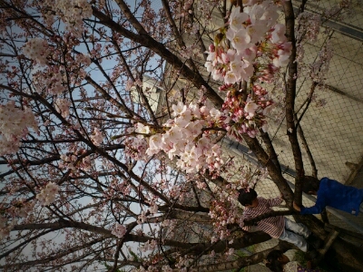 f0222259_22143731.jpg