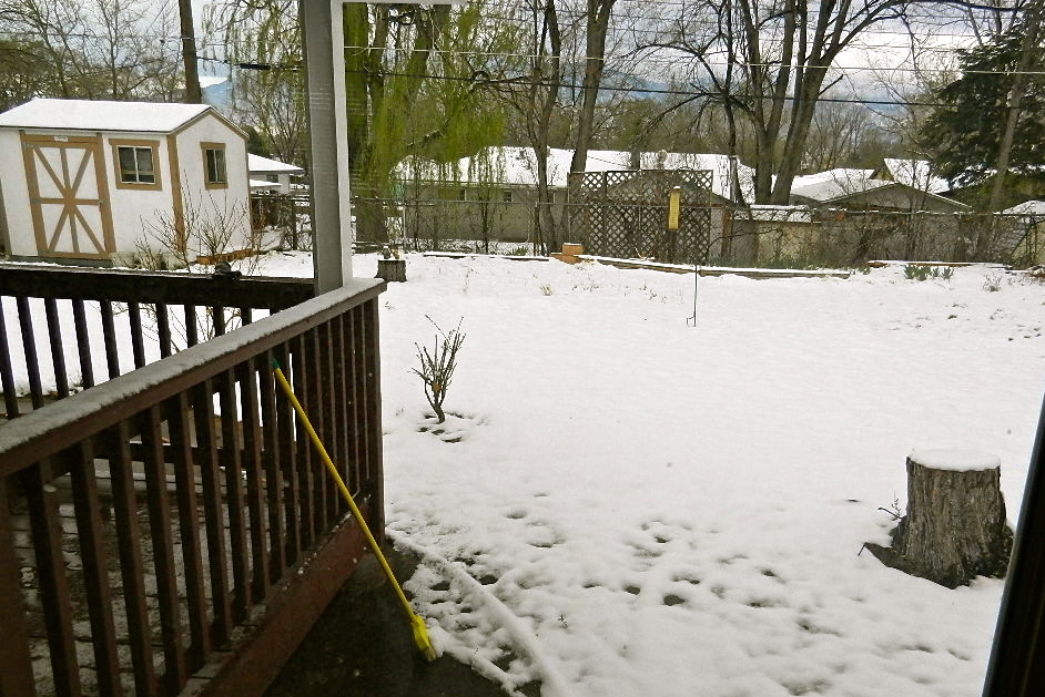 b0207361_1048463.jpg