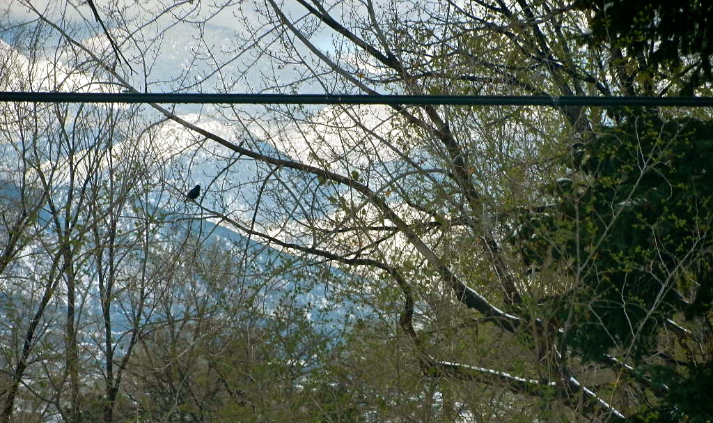 b0207361_10494677.jpg
