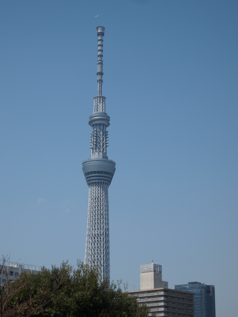 d0152261_22152186.jpg