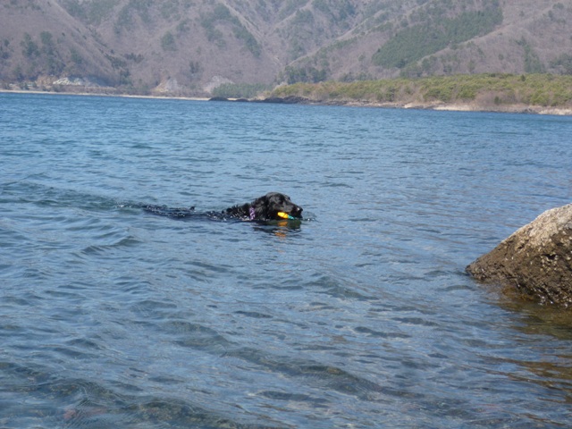 c0134862_9384739.jpg