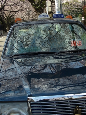 b0091164_203148.jpg