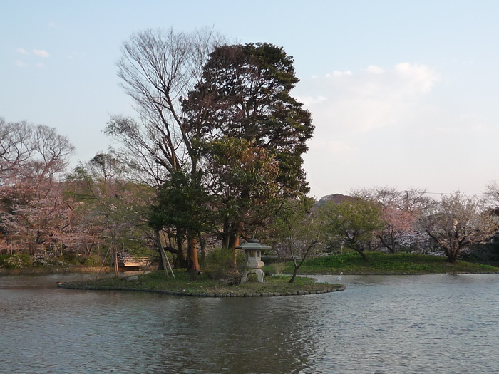 b0141664_236777.jpg