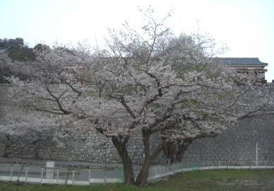 e0197164_18135168.jpg