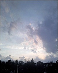a0050669_2463456.jpg