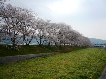 a0220570_21275050.jpg